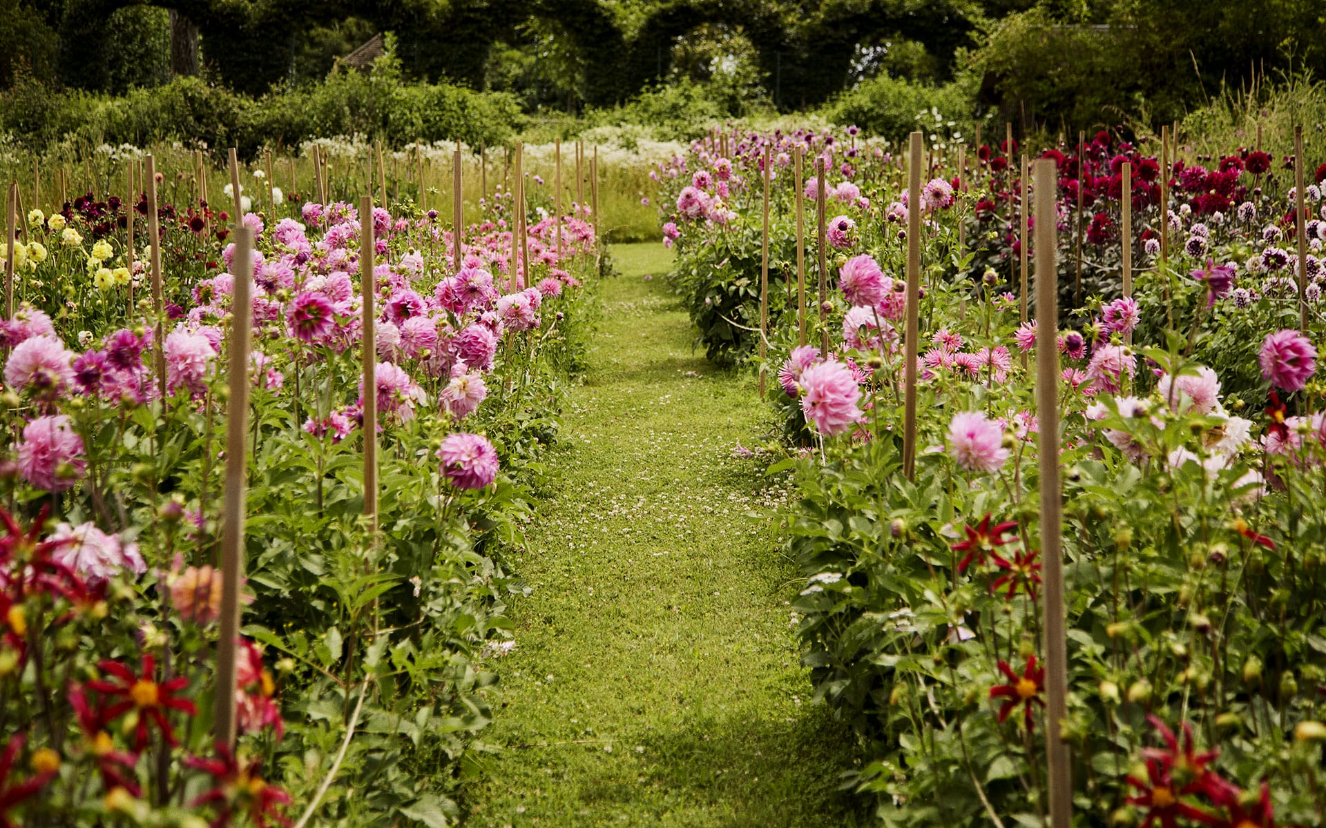 From the pages of Flower Couture: From My Garden to My House.