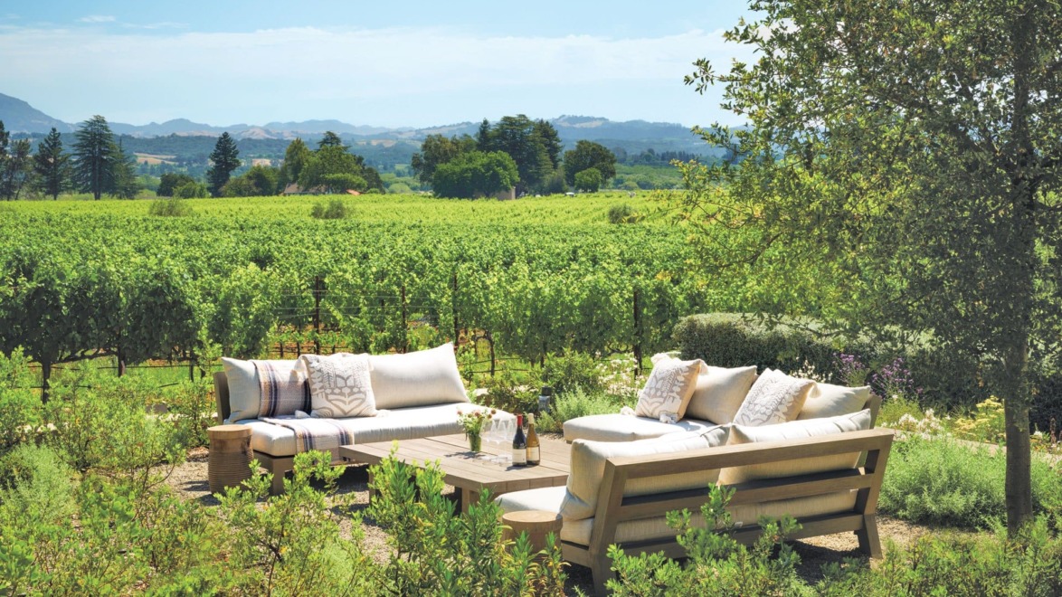 Outdoor seating area with sofas and table in a lush vineyard setting under a clear blue sky.