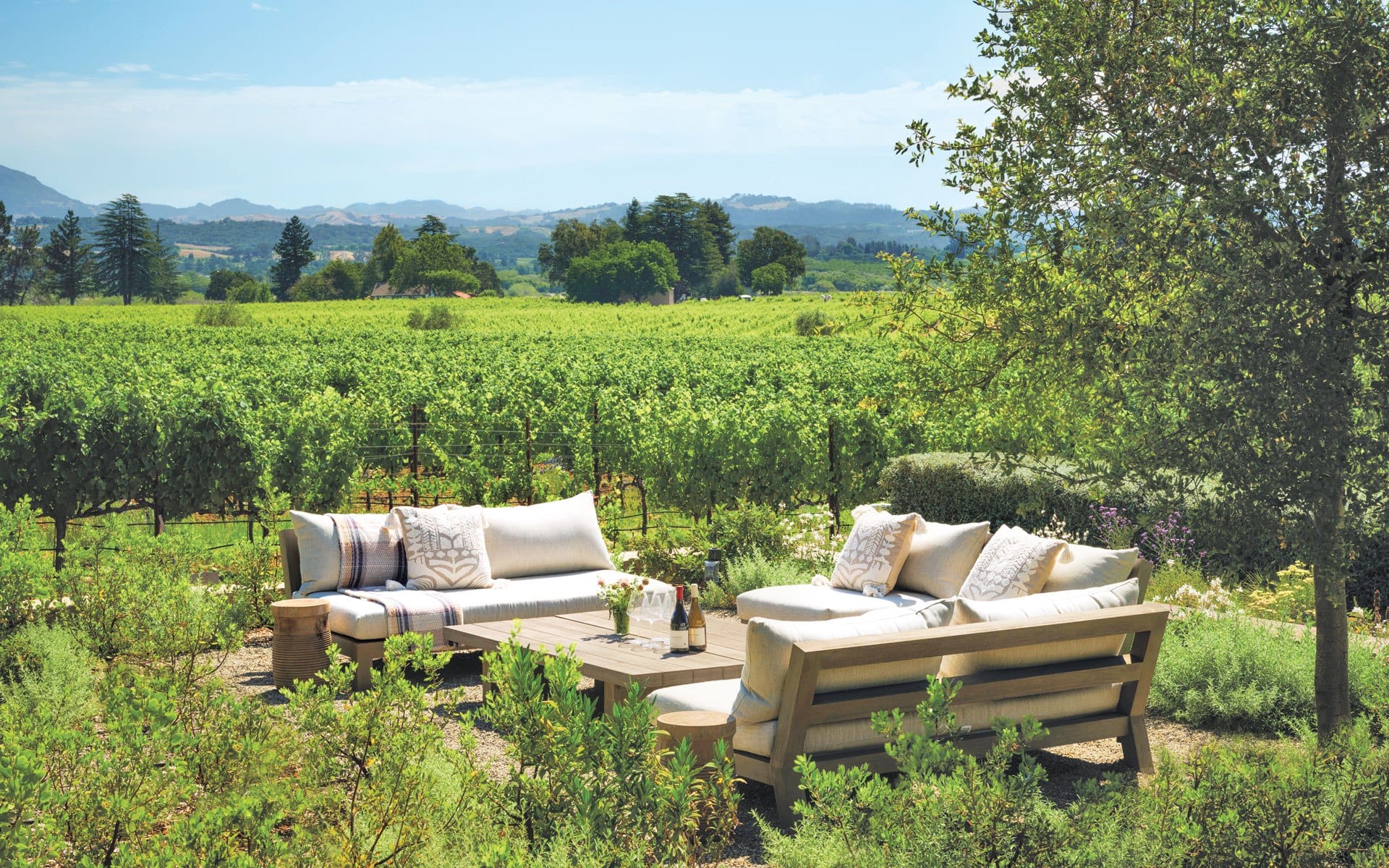 Outdoor seating area with sofas and table in a lush vineyard setting under a clear blue sky.