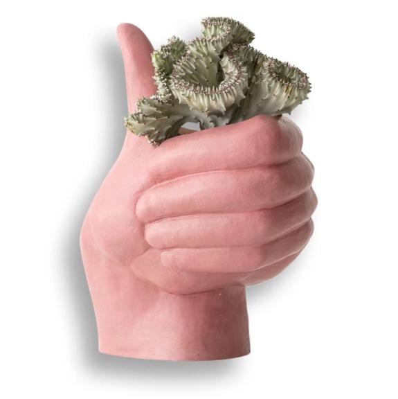 Pink hand-shaped vase holding a green cactus with wavy edges against a white background.