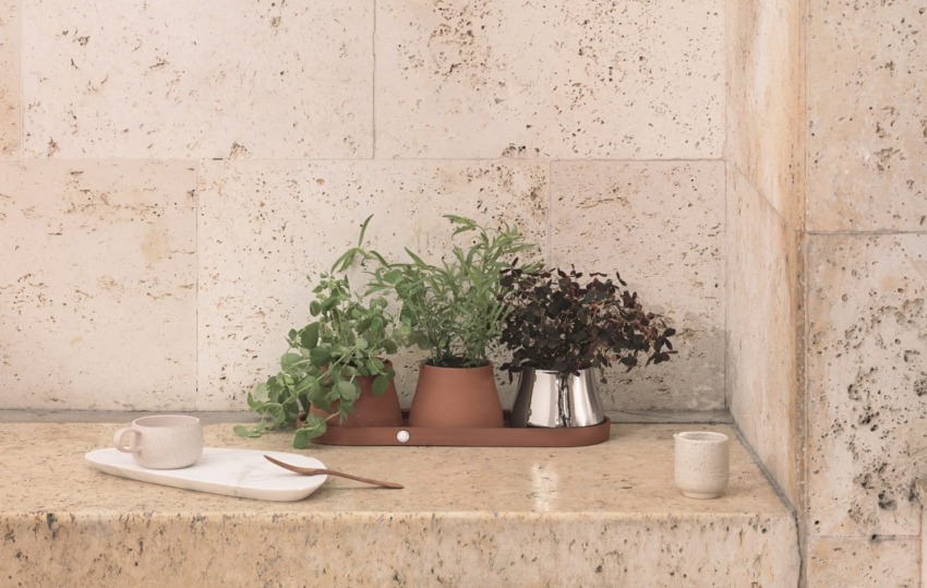 Potted herbs on a kitchen counter with a cup, plate, and a small container against a light stone wall.