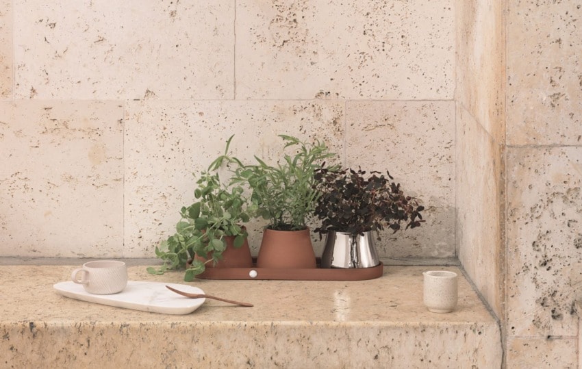 Potted herbs on a kitchen counter with a cup, plate, and a small container against a light stone wall.