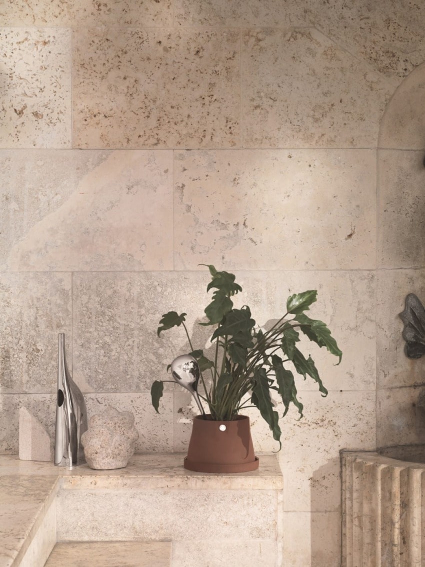 Indoor plant in a brown pot on a stone ledge with a textured stone wall background and decorative objects nearby.
