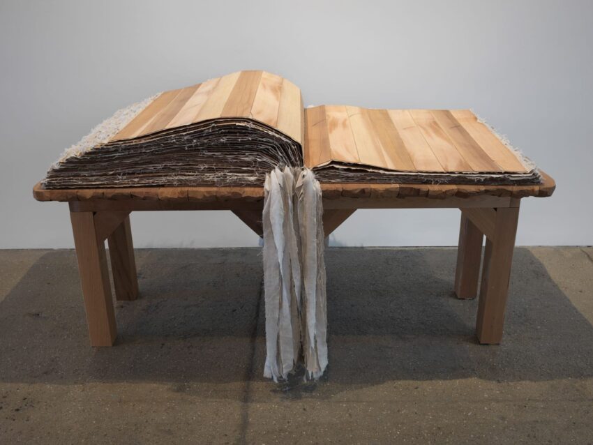 Wooden sculpture resembling an open book on a table, crafted with layered wood and fringed edges.