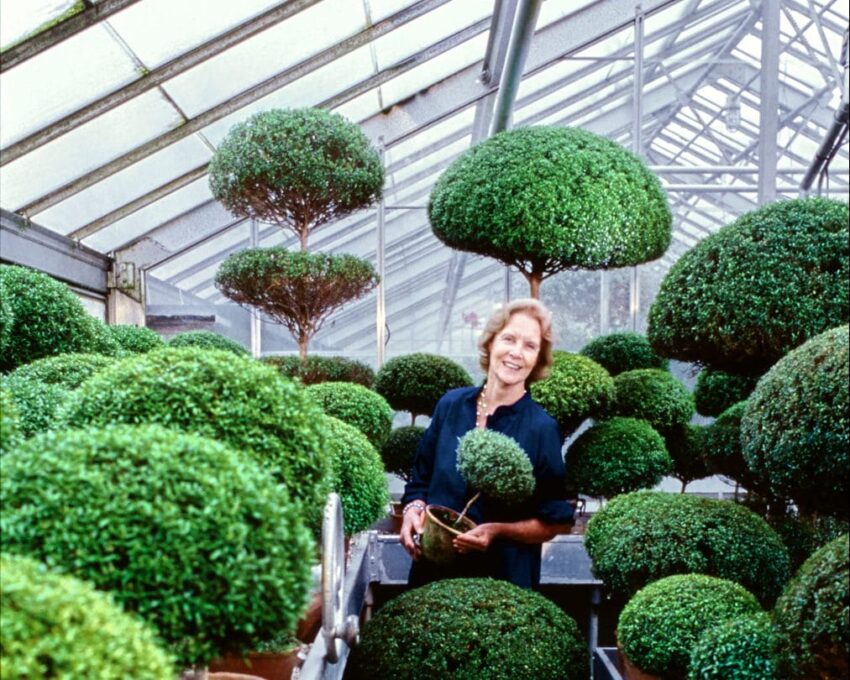 Person smiling in a greenhouse surrounded by various sizes of topiary plants.