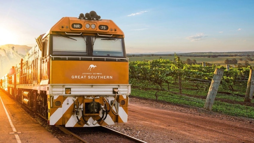Orange train journeying through scenic countryside near vineyards, under a clear blue sky during sunset.
