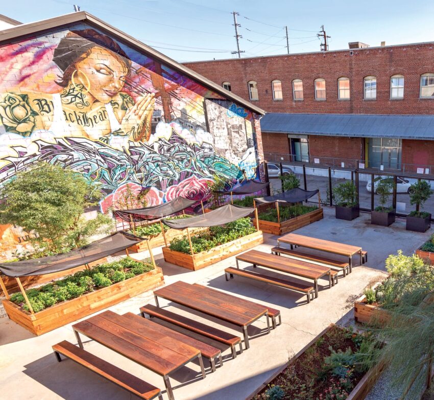 rooftop garden with wooden benches and vibrant mural on brick wall in urban setting