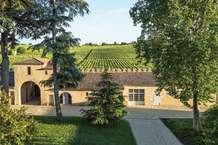 Vineyard landscape with a rustic building surrounded by lush trees and greenery under a clear blue sky.