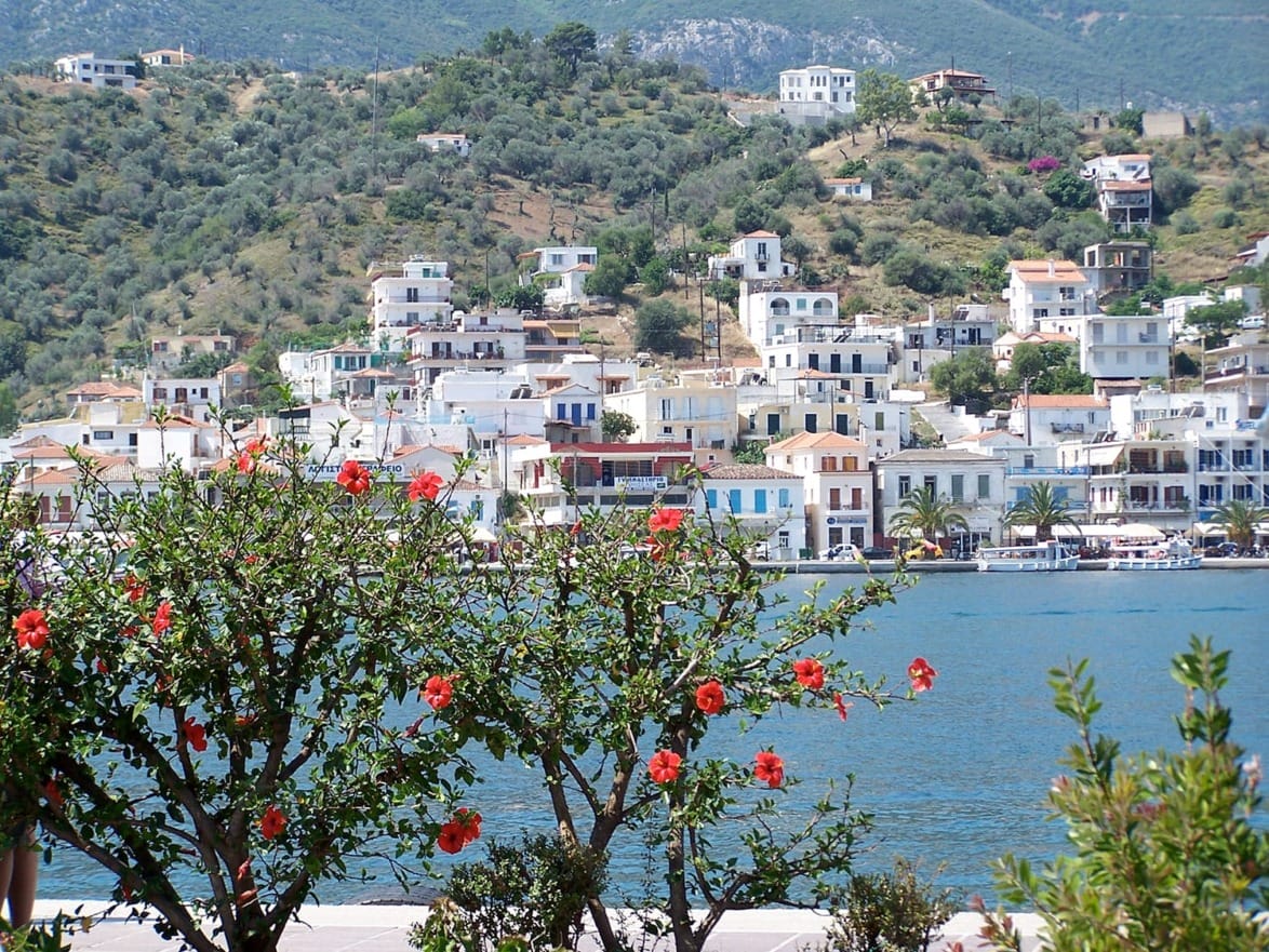 Scenic view of coastal village with hillside houses and hibiscus flowers in the foreground.