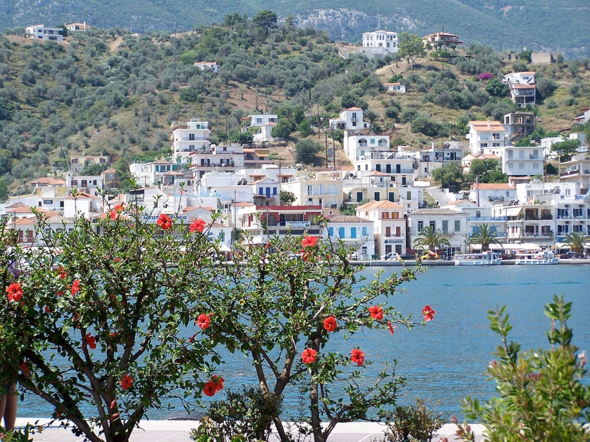 Scenic view of coastal village with hillside houses and hibiscus flowers in the foreground.
