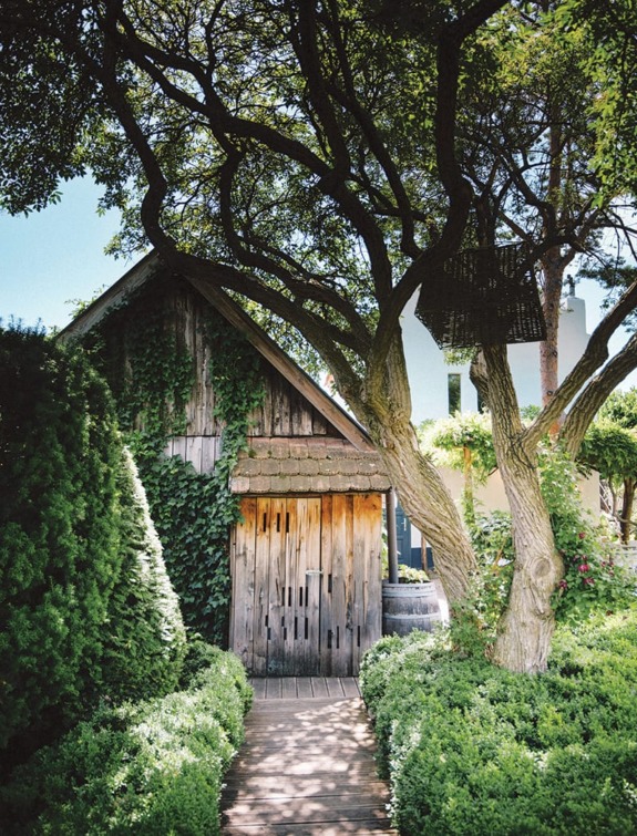 Rustic wooden shed surrounded by lush greenery and a large tree in a peaceful garden setting.