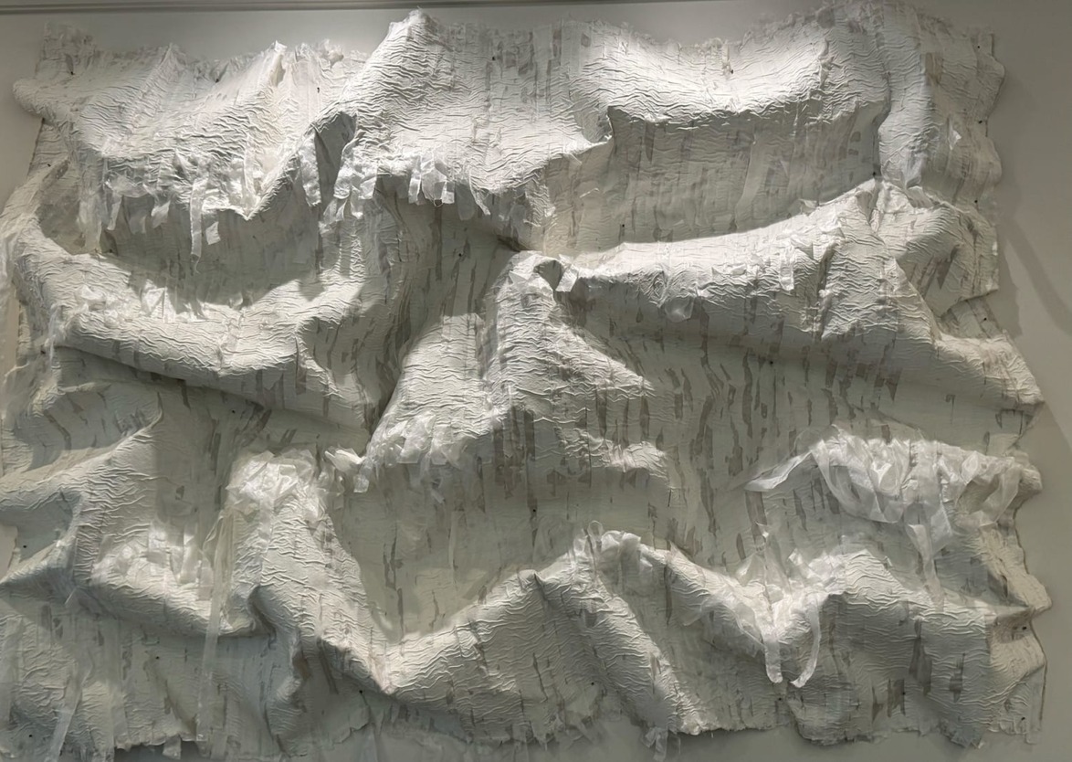 Abstract textured white sculpture resembling crumpled fabric, with intricate surface detailing, mounted on a wall.