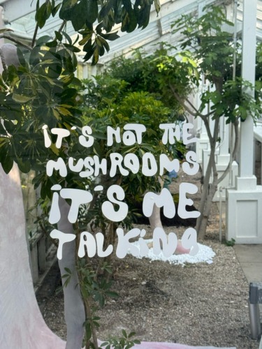 Window with painted text saying 'It's not the mushrooms, it's me talking,' with greenery in the background.