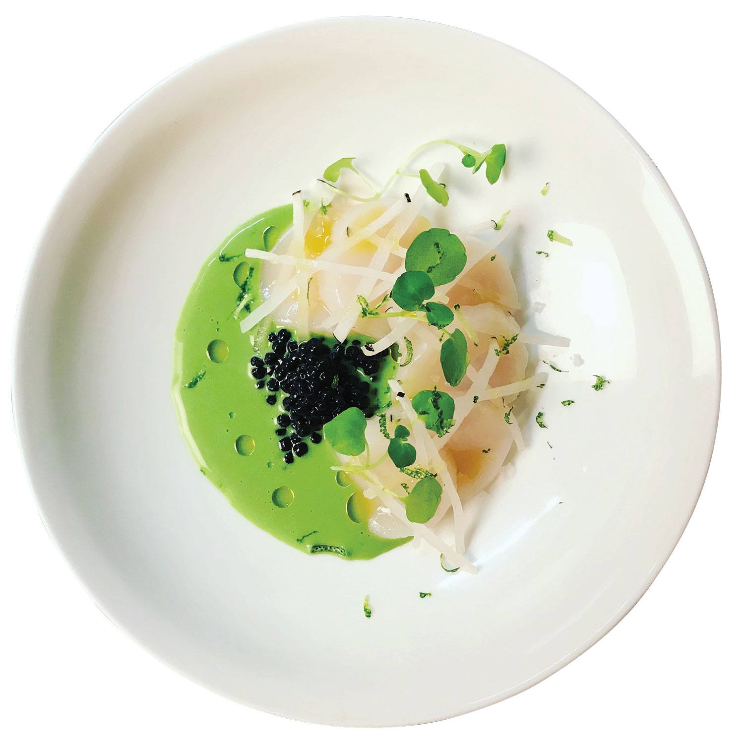 Gourmet dish with scallops, green sauce, shaved vegetables, and microgreens on a white plate.