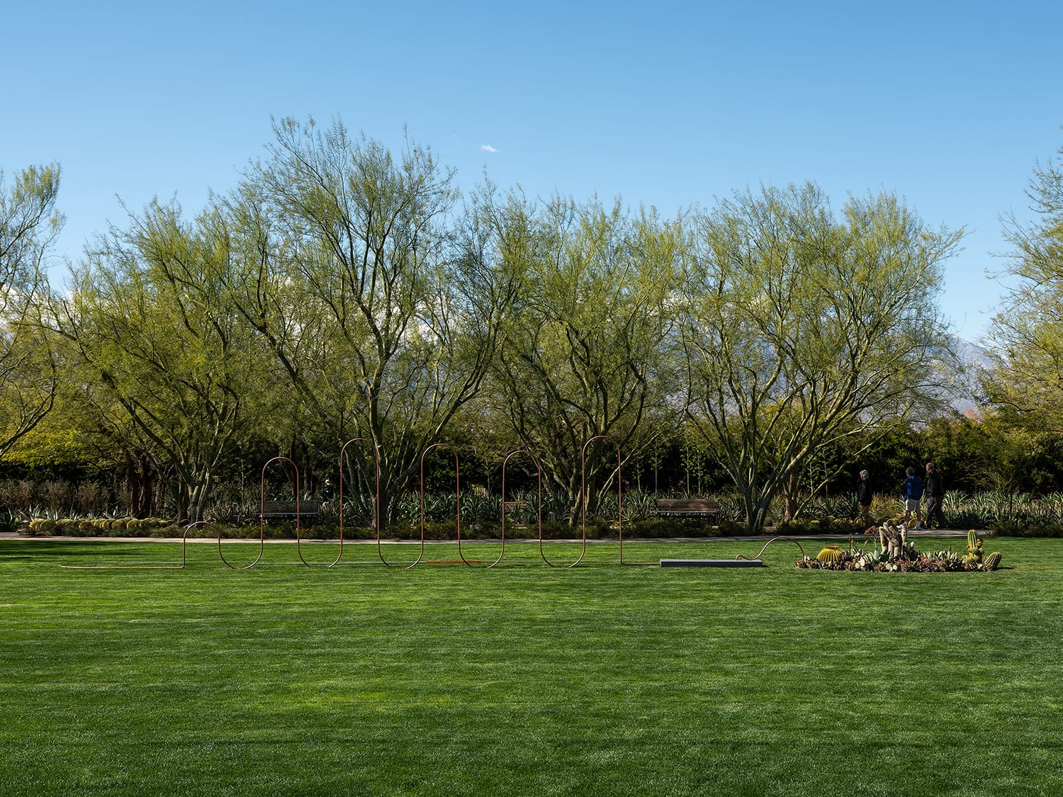 Large green lawn with hoop sculpture and desert trees under a clear blue sky.