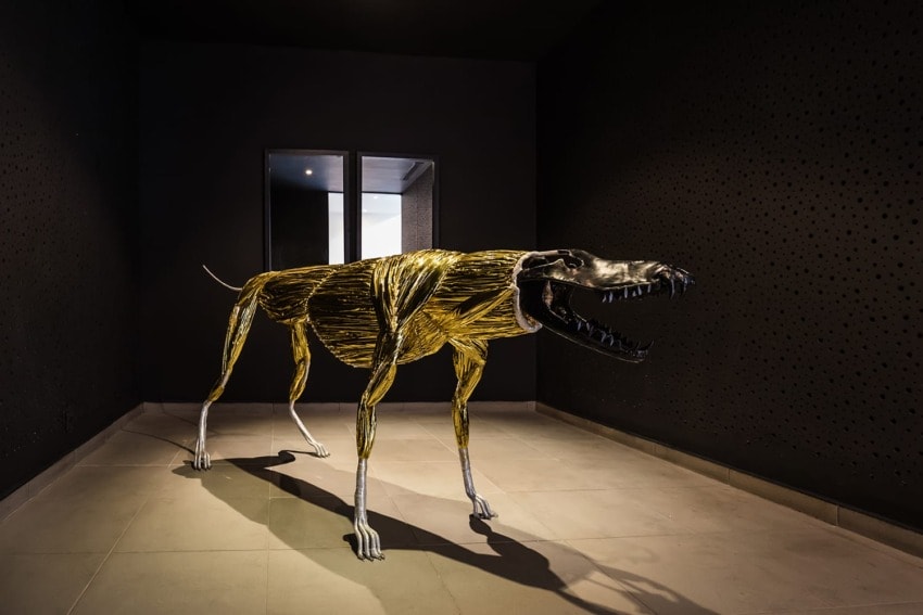Golden metallic dog sculpture with open mouth displayed in a dimly lit modern gallery with dark walls.