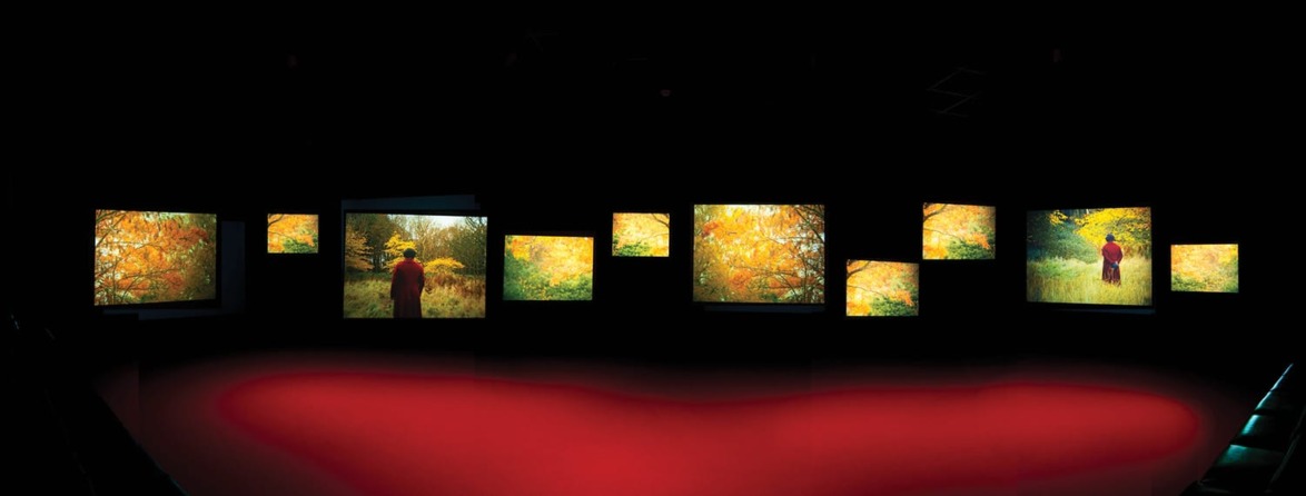 Gallery installation featuring vibrant autumn-themed photographs on multiple screens against a dark background.