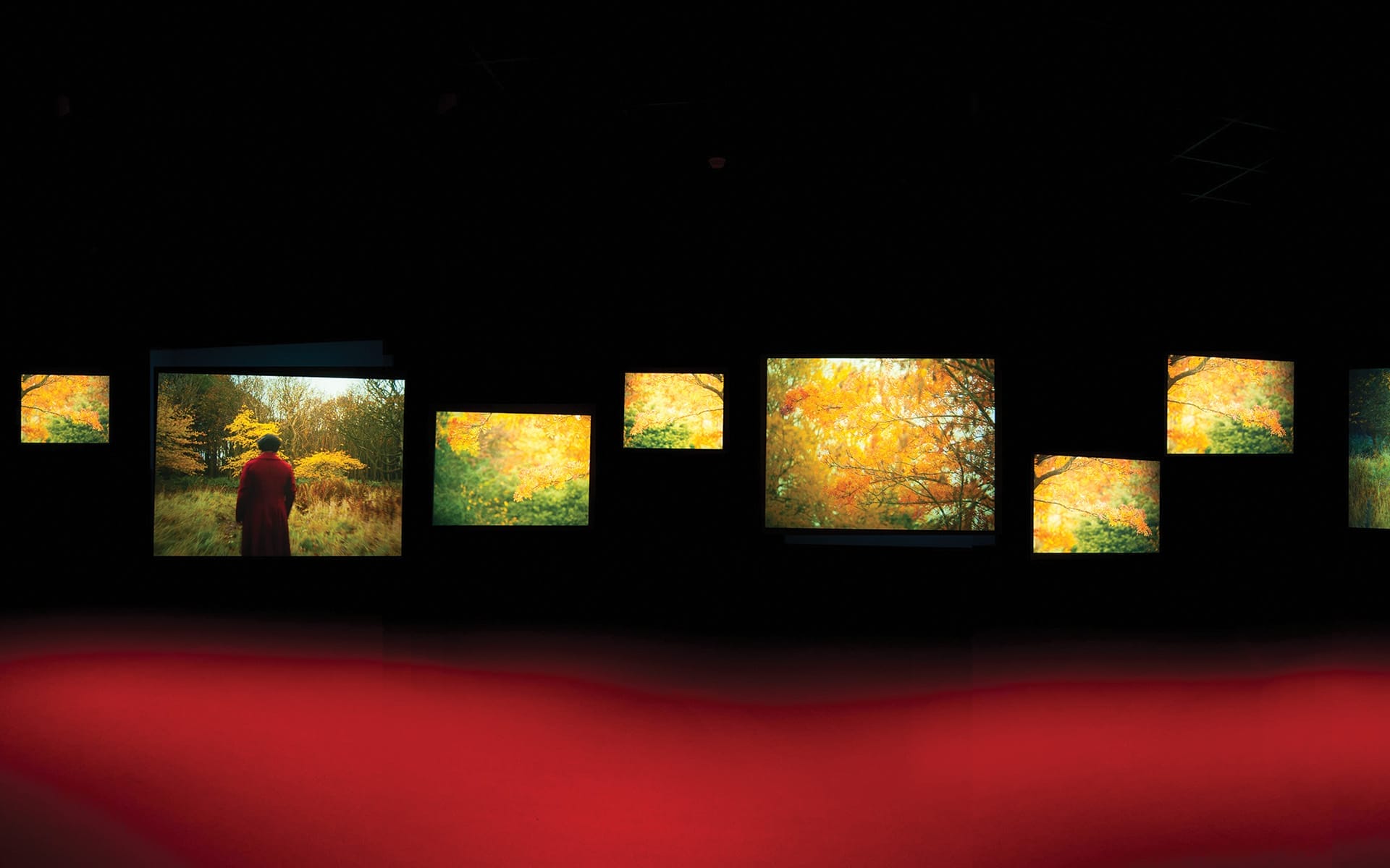 Multiple glowing screens displaying autumn landscapes in a dark room with a red carpet.