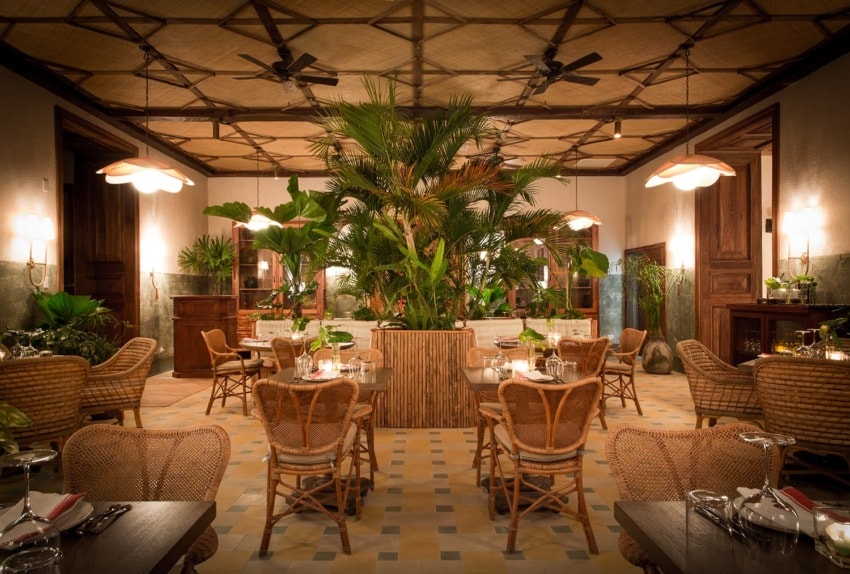 Elegant restaurant interior with tropical plants, woven chairs, and ambient lighting creating a cozy dining atmosphere.