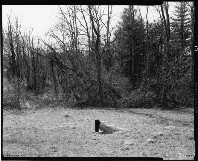 Person lying on grass in a clearing surrounded by leafless trees.