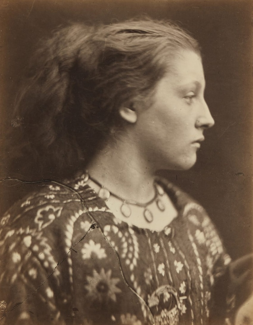 Profile of a woman in patterned dress and necklace, vintage sepia photograph with detailed texture and soft lighting.