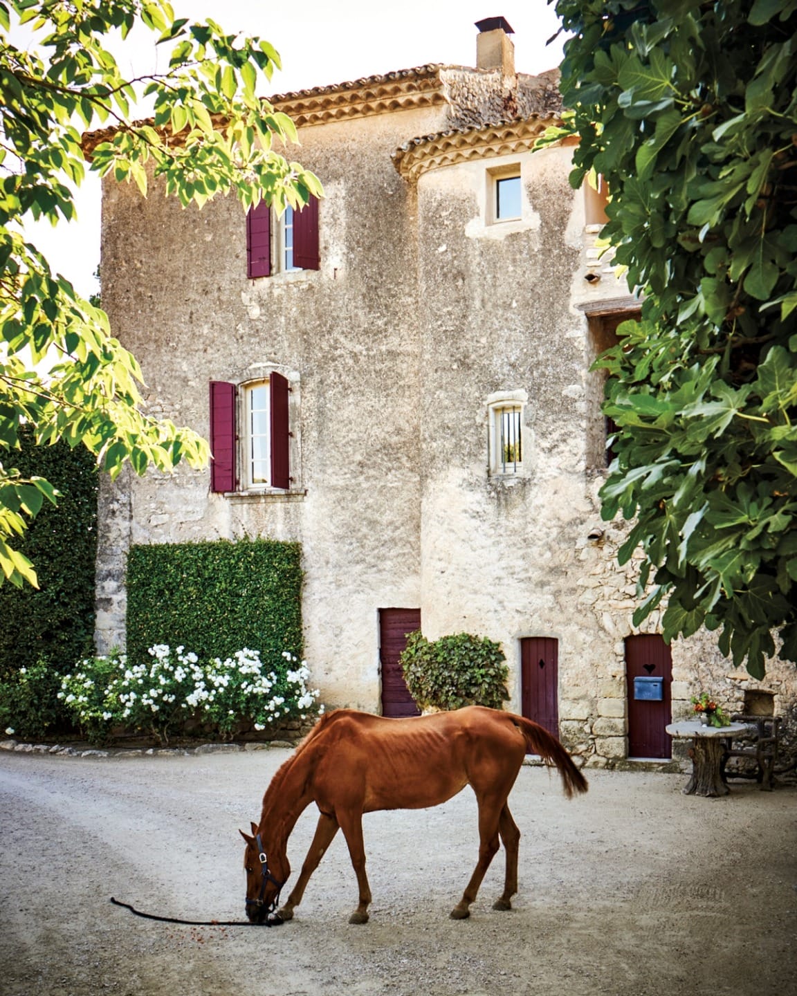 A brown horse grazes in front of an old stone building with red windows, surrounded by lush greenery.