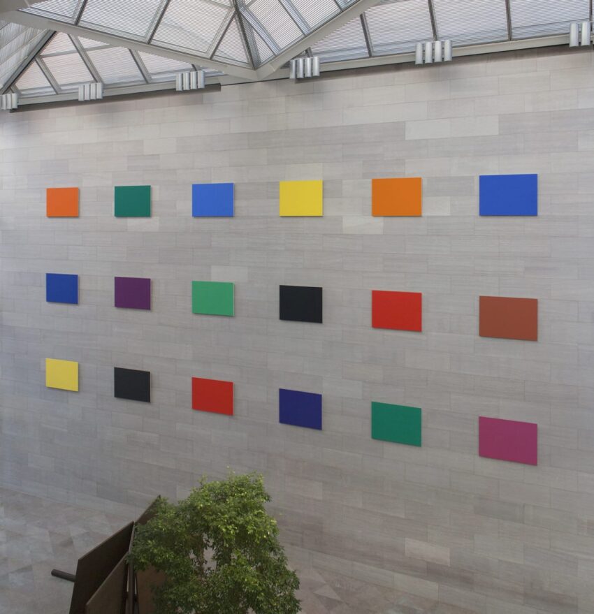 Modern art installation with colorful rectangular panels on a large grey wall beside a green plant under a skylight.