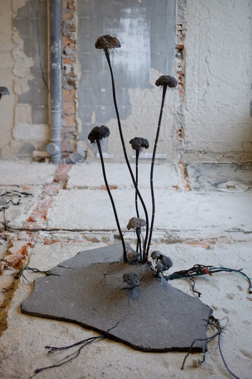 Wires emerging from the ground topped with mushroom-like forms in a rustic industrial setting with exposed pipes and walls.
