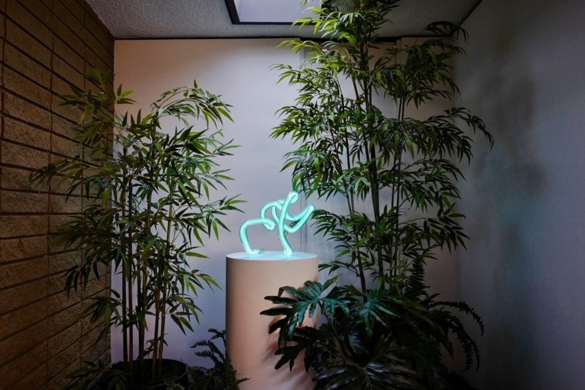 Glowing abstract sculpture on a pedestal surrounded by lush green plants in a modern interior space.