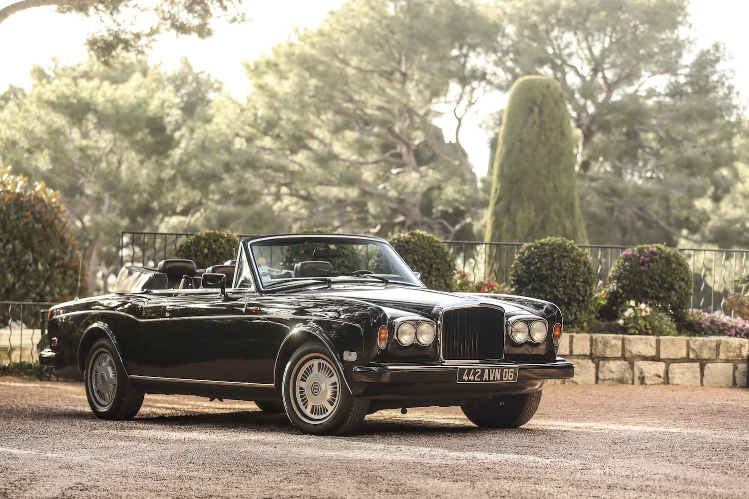 Luxury black convertible car parked in a scenic area with trees and flowers in the background.