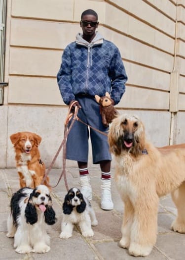 Best in Show: Louis Vuitton and Pharrell Williams Celebrate Dog