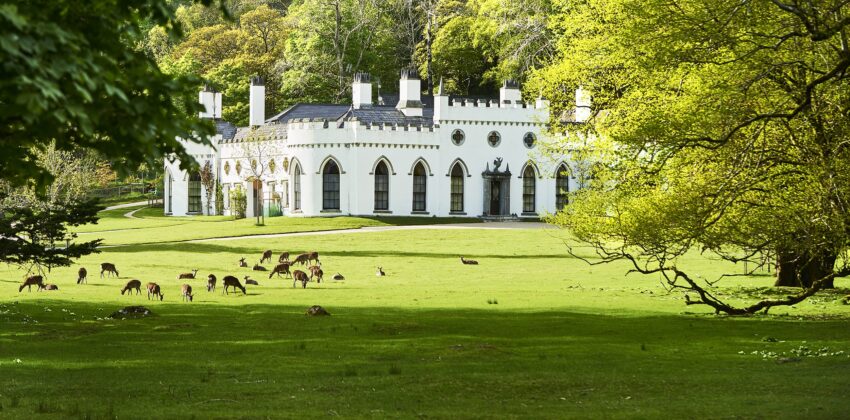 Regal white building with arched windows surrounded by a lush green lawn and deer grazing, bordered by trees in spring.