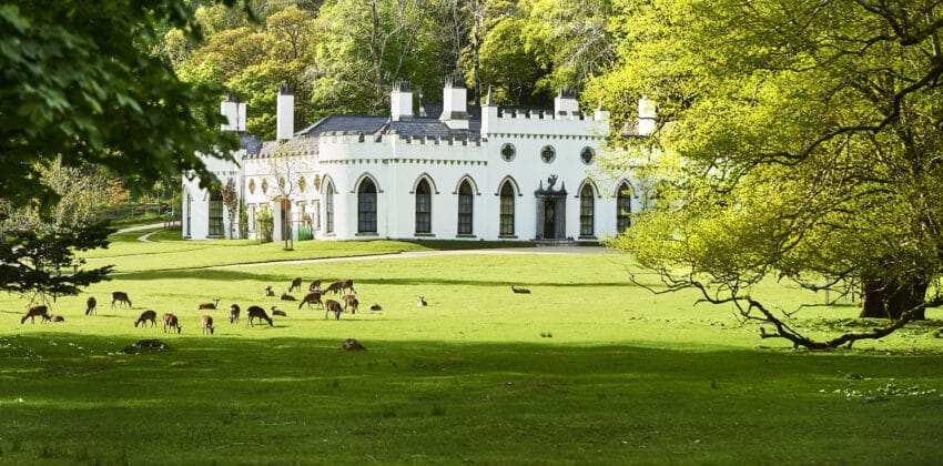 Regal white building with arched windows surrounded by a lush green lawn and deer grazing, bordered by trees in spring.
