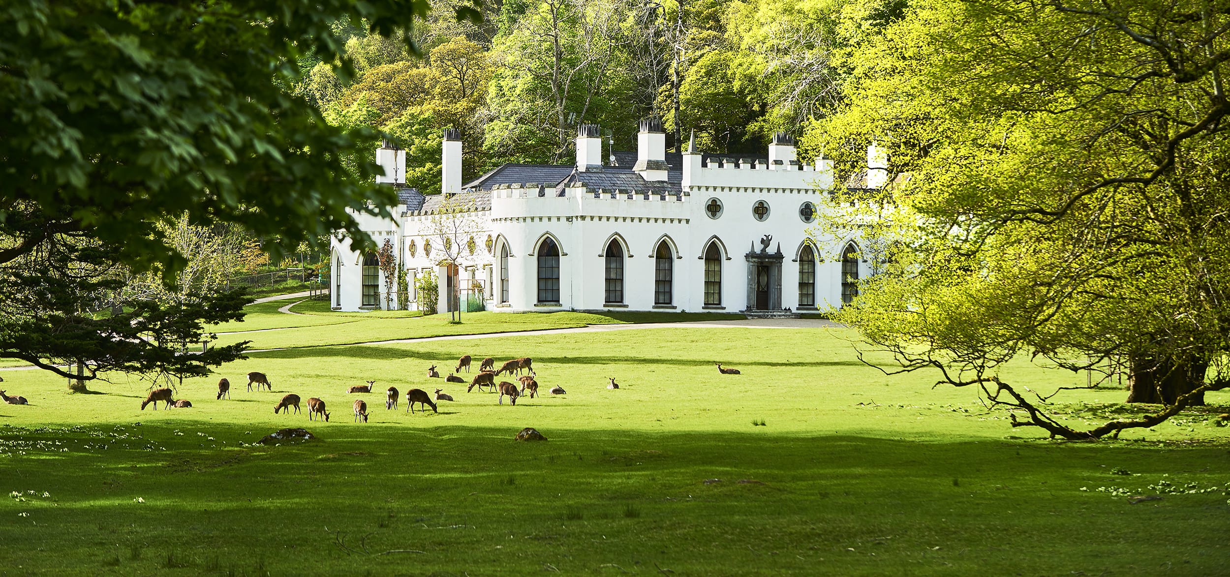 Gothic-style white mansion surrounded by lush green trees with deer grazing on the expansive lawn.