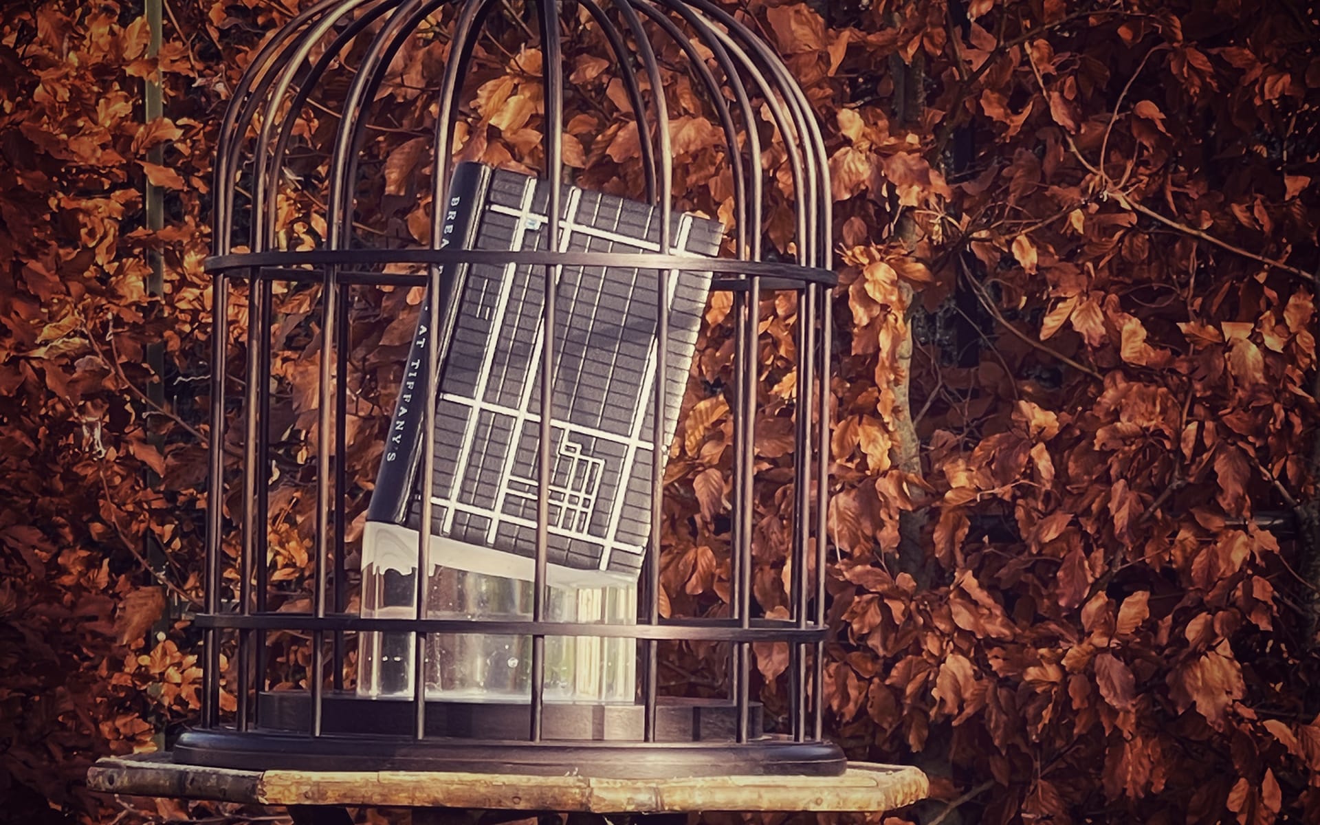 Modern building model inside a birdcage against a background of brown autumn leaves.