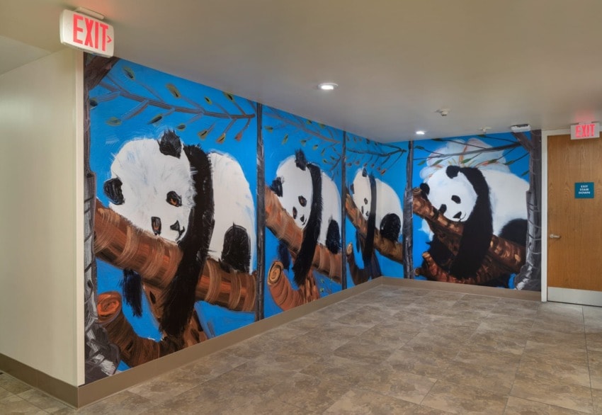 Wall mural of playful pandas lounging on tree branches, set against a bright blue backdrop in a hallway.