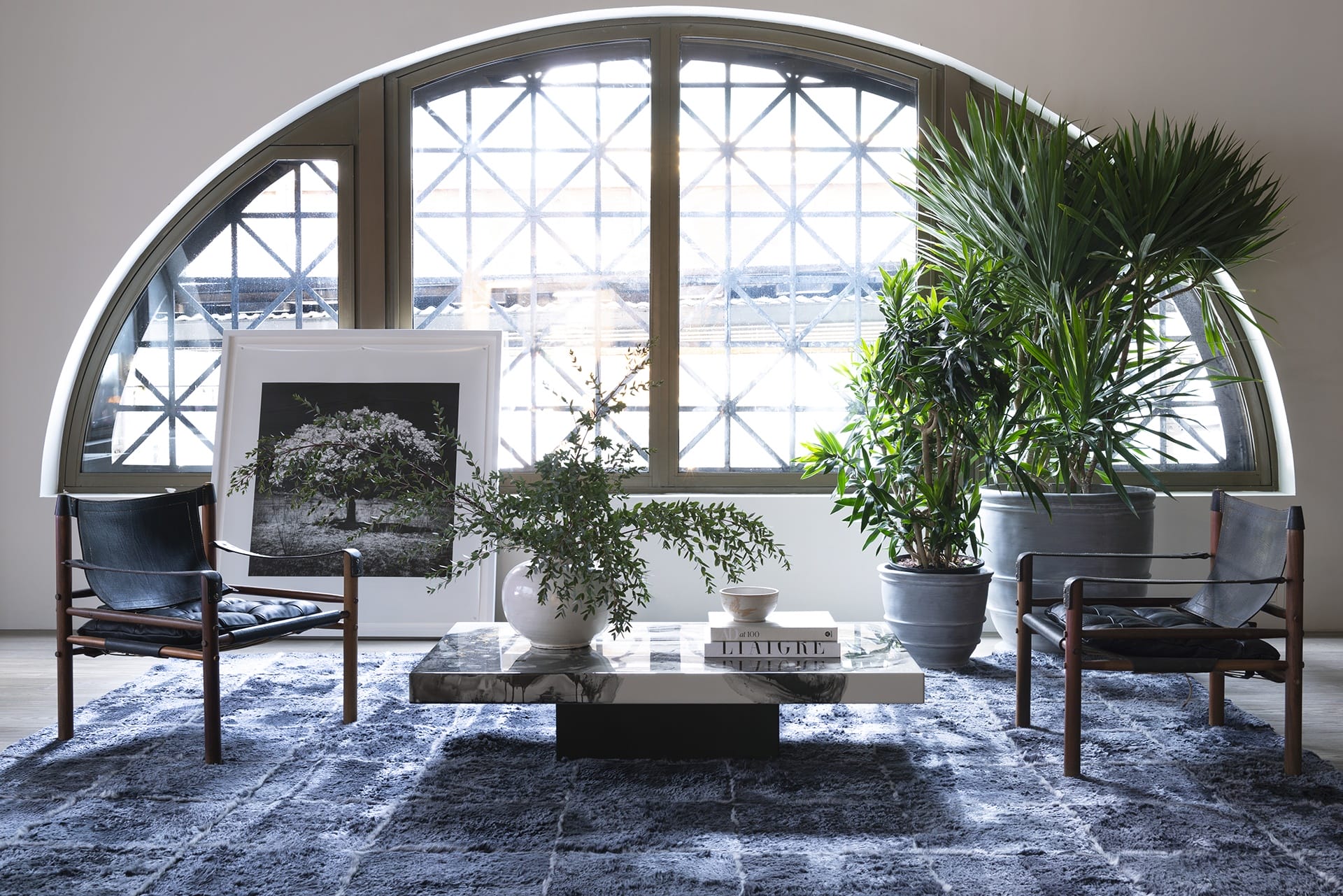 Stylish living room with large arched window, plants, artwork, and modern furniture on a textured blue rug.