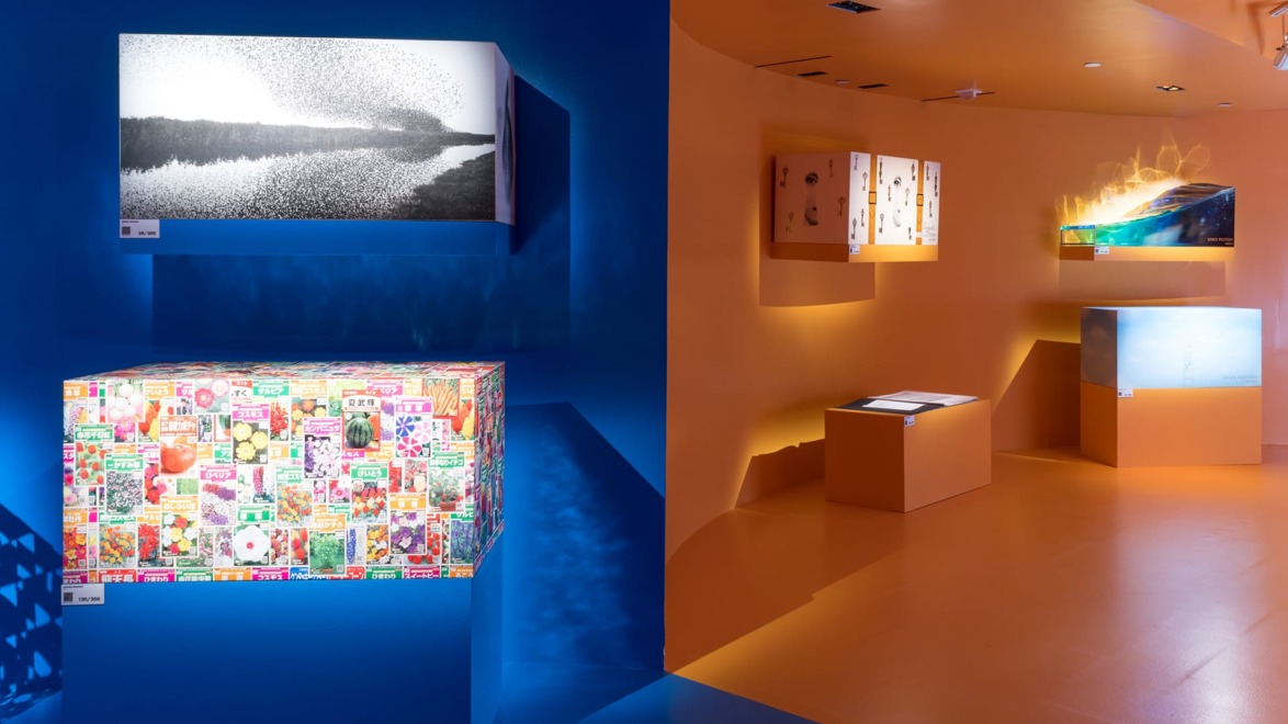 Colorful modern art gallery display with illuminated exhibits on vibrant blue and orange walls.