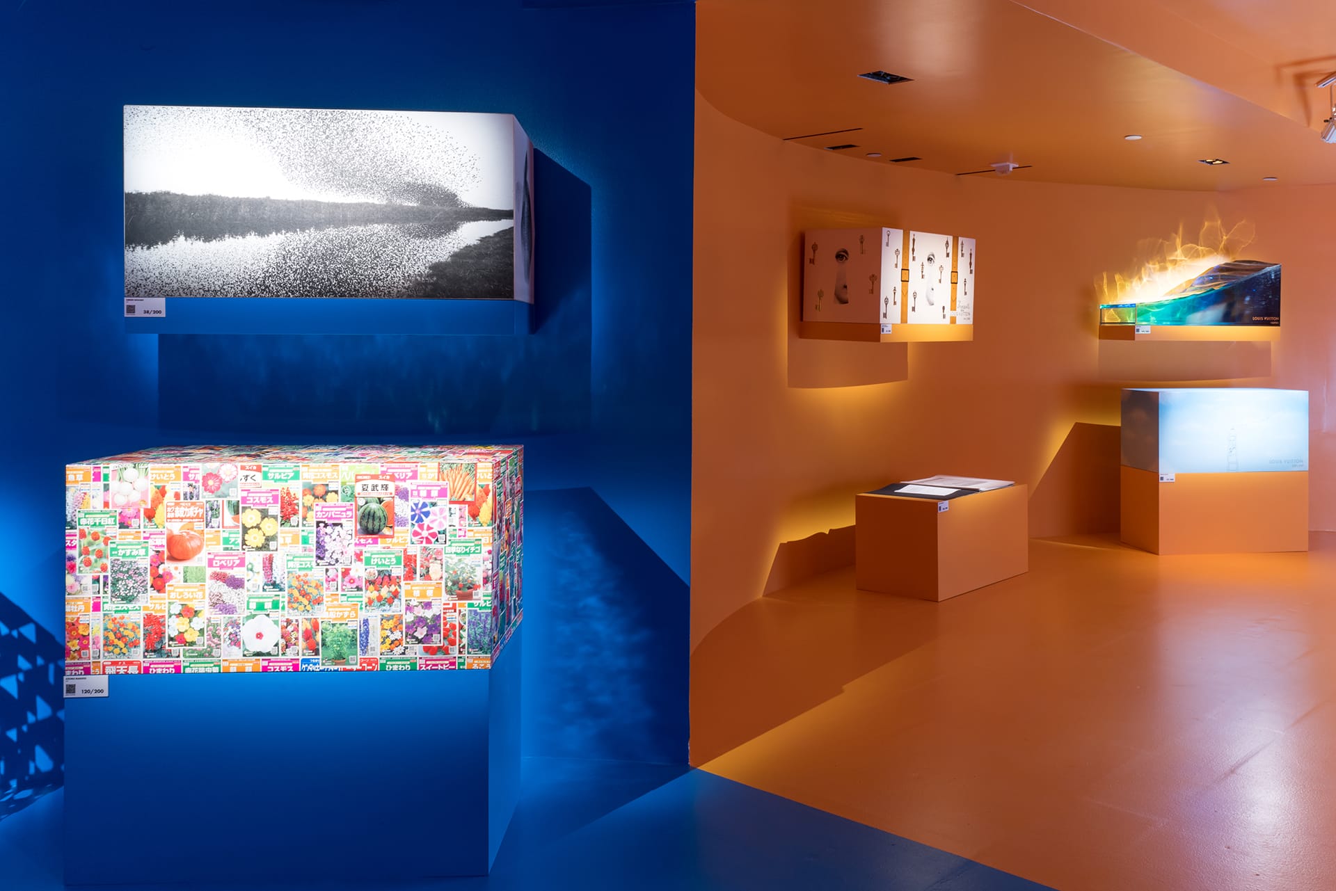 Colorful modern art gallery display with illuminated exhibits on vibrant blue and orange walls.