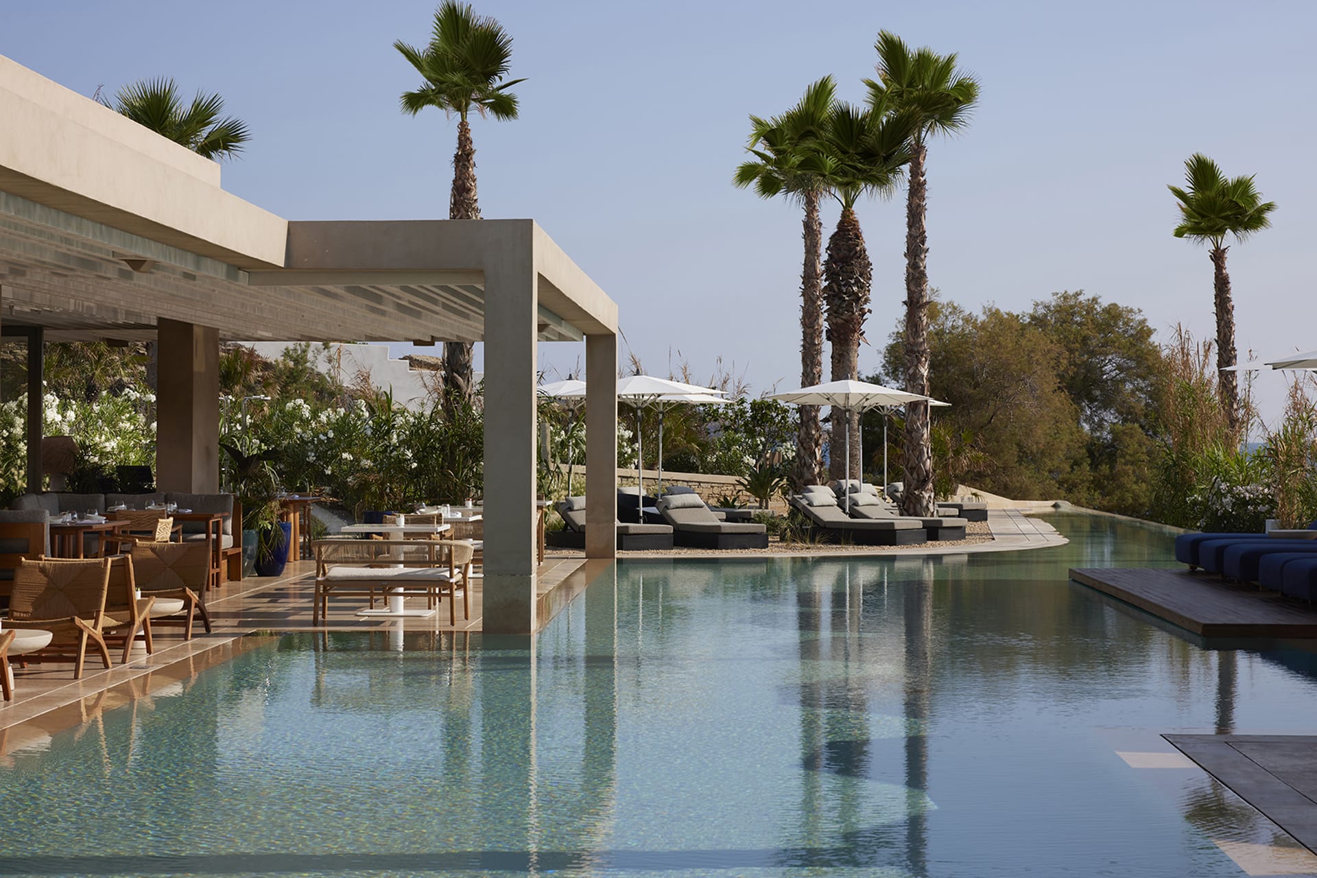 Luxurious outdoor pool area with lounge chairs, umbrellas, and palm trees under a clear sky.