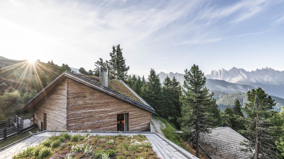 Rustic cabin with a green roof surrounded by pine trees and mountains under a clear sky with the sun peeking through.