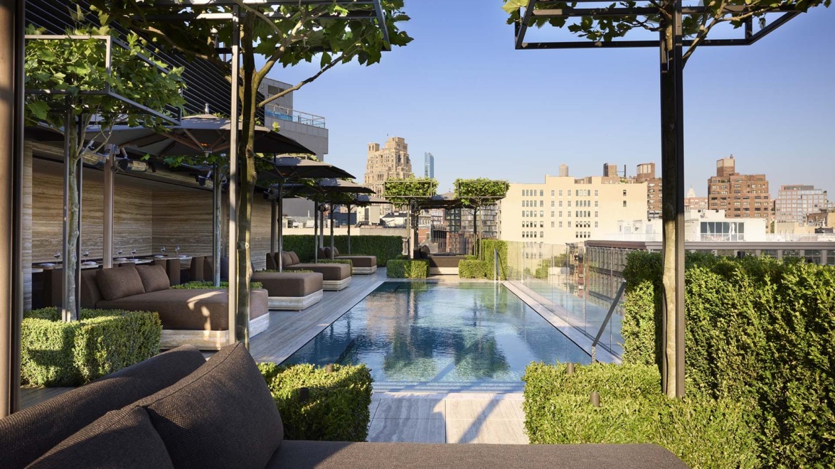 Rooftop swimming pool surrounded by trees and lounge seating under a clear blue sky in an urban setting.