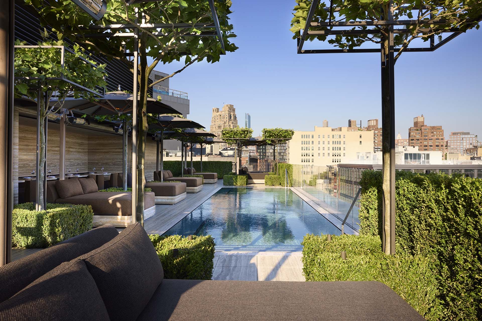 Rooftop swimming pool surrounded by trees and lounge seating under a clear blue sky in an urban setting.