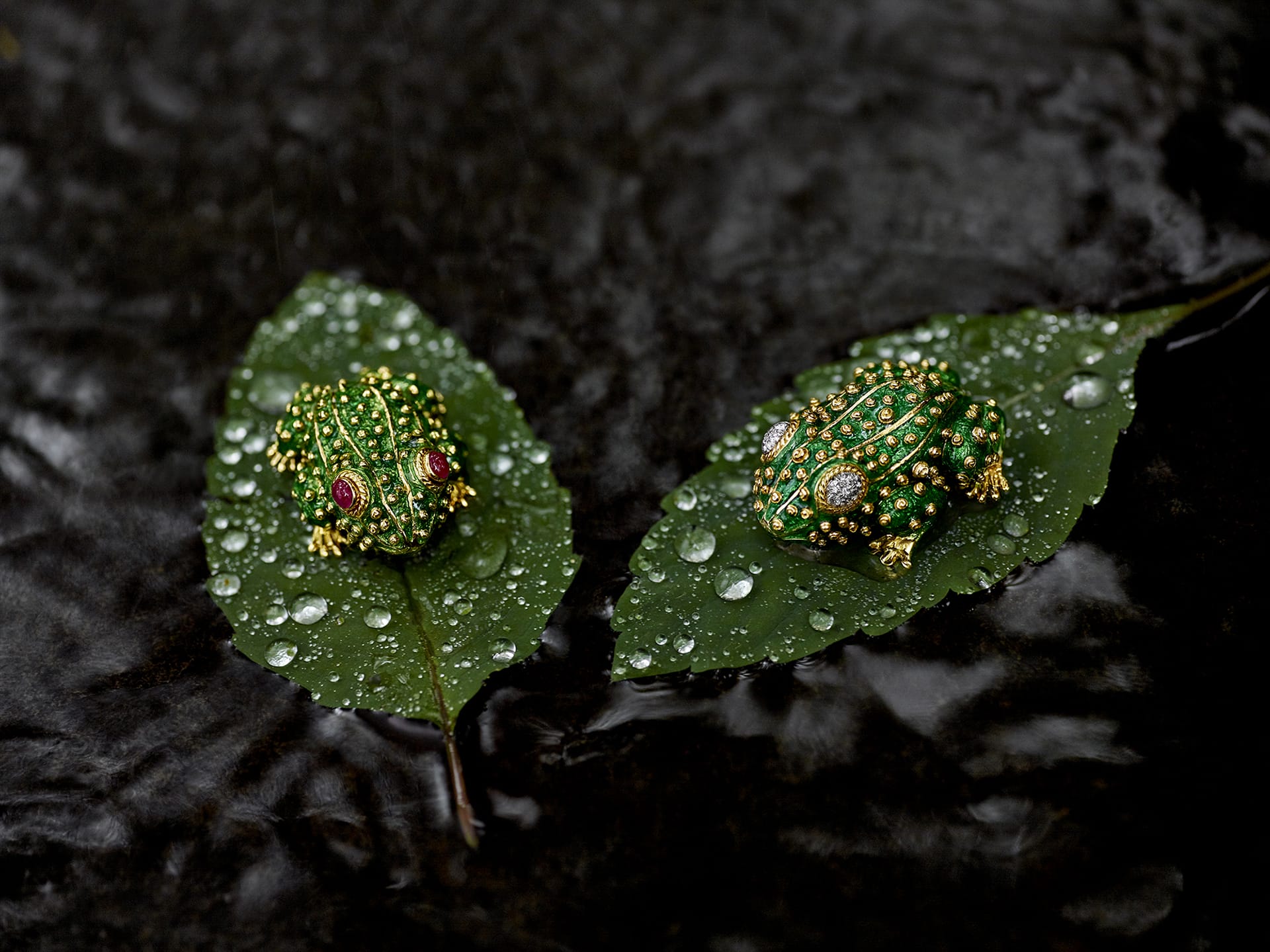 Two jeweled frog brooches on wet green leaves with water droplets, set against a dark background.