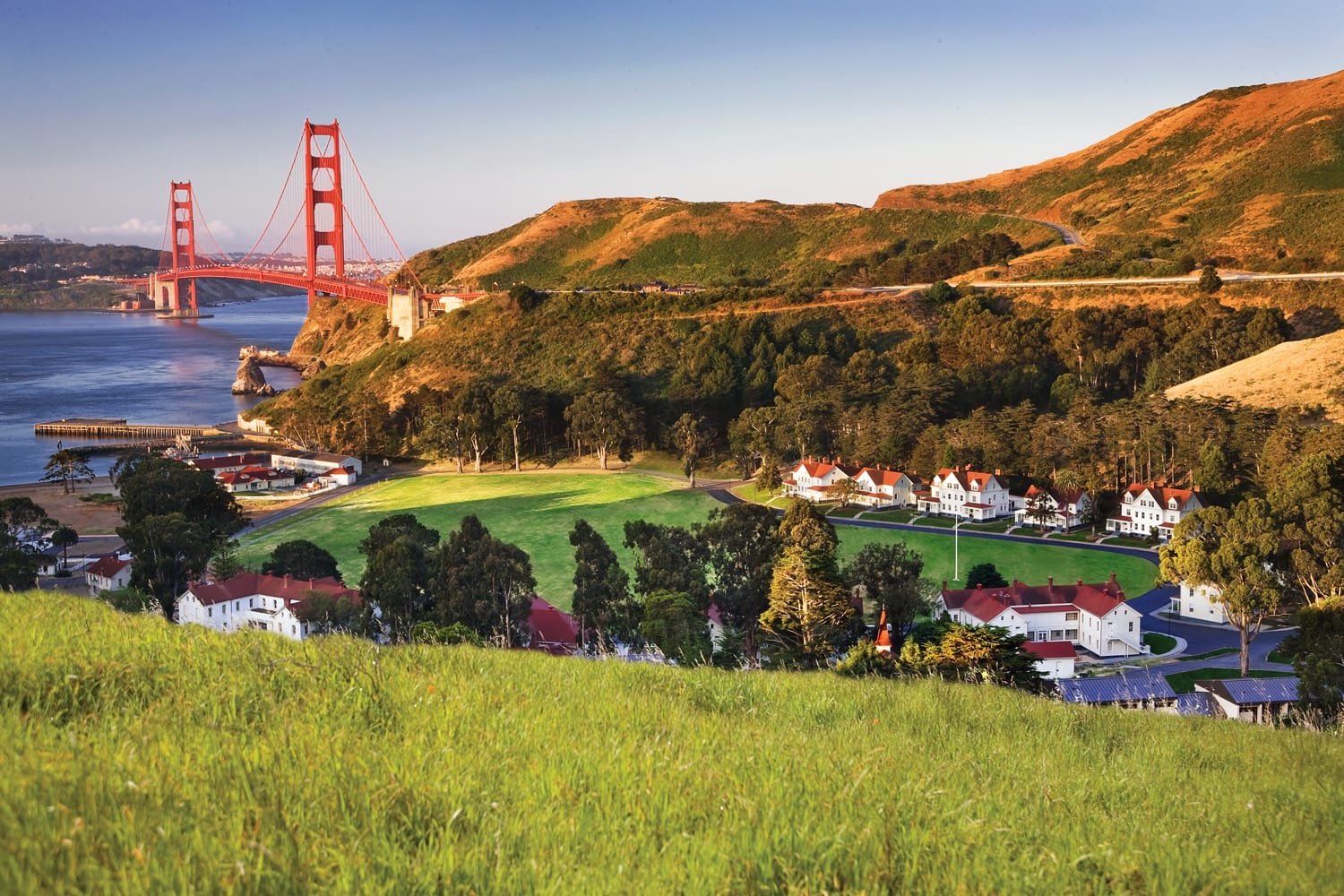 Golden Gate Bridge with lush green hills and buildings in the foreground under a clear blue sky.