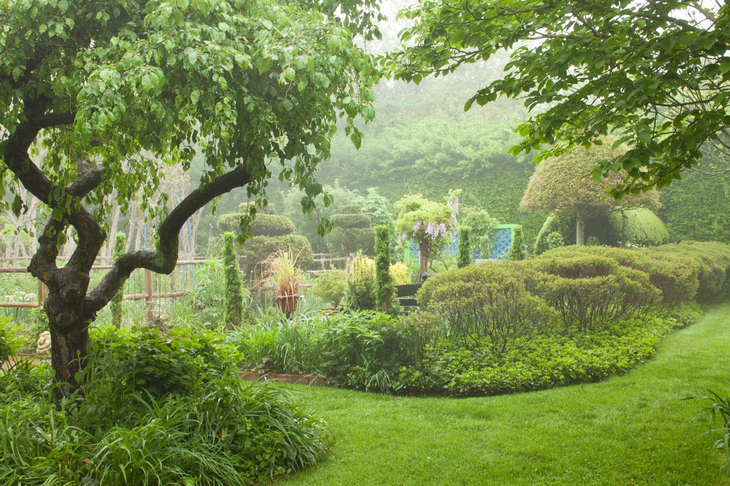 Lush garden with trimmed shrubs, green lawn, and foggy atmosphere surrounded by trees.