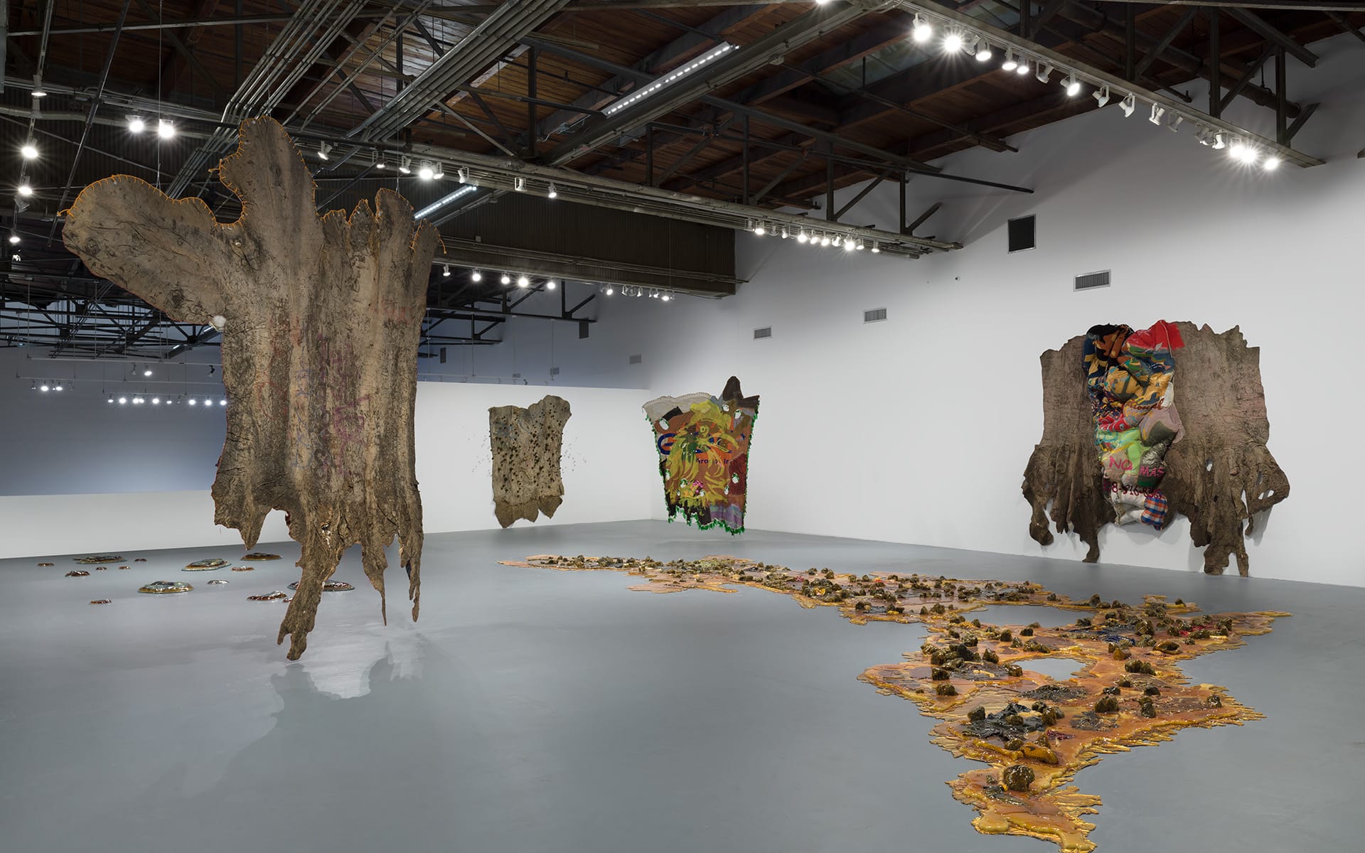 Exhibition view of Eddie Rodolfo Aparicio's FOCUS exhibition at MOCA.