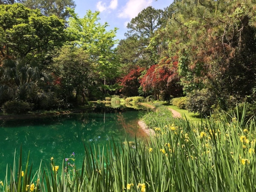 Lush garden landscape with a serene green pond, surrounded by vibrant flowers and tall trees under a partly cloudy sky.