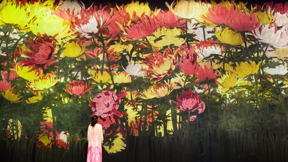Person standing in awe before a vibrant digital flower display, featuring a variety of colorful, large blooms.