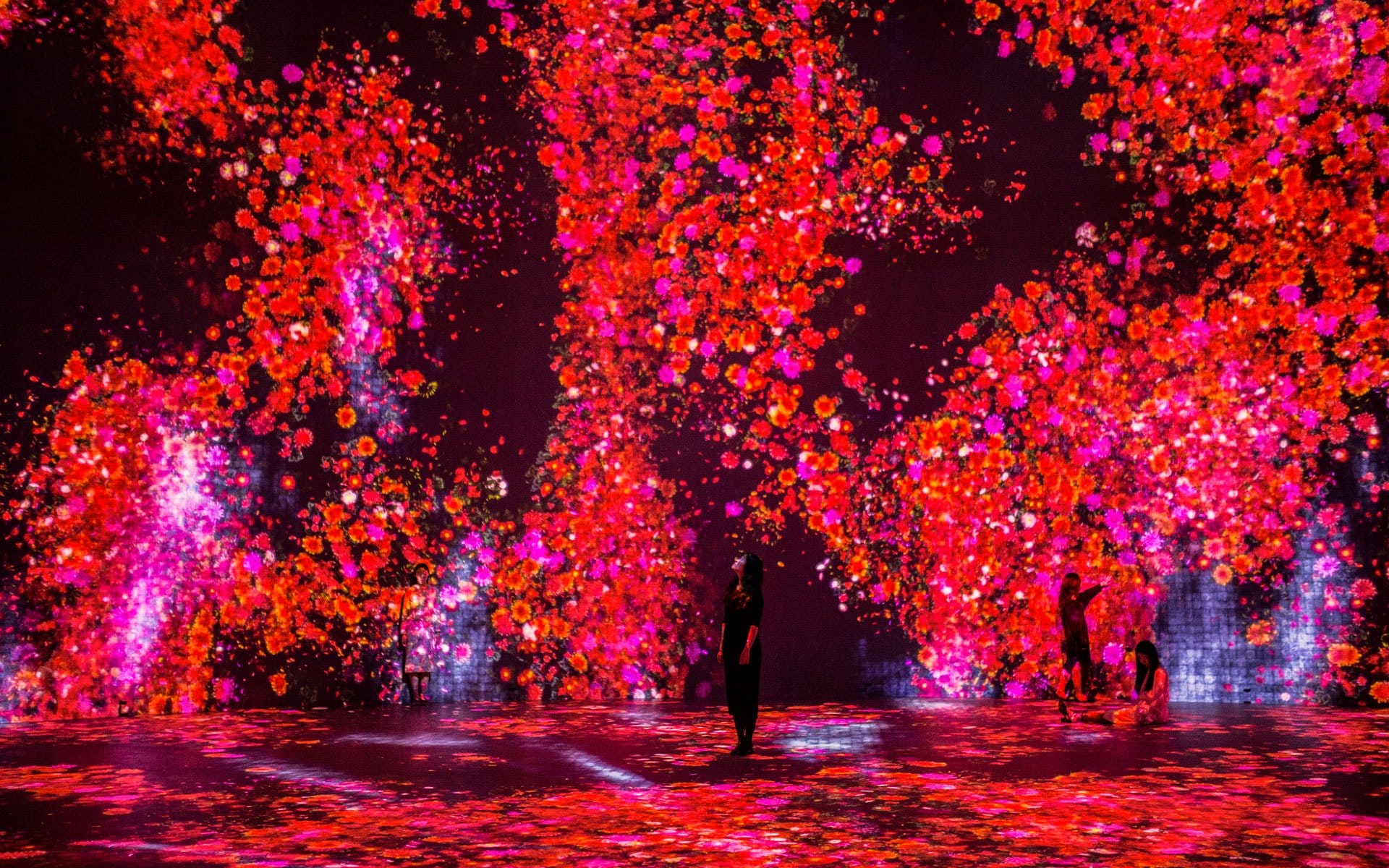 Vibrant digital art installation with cascading red and pink floral patterns surrounding silhouettes of people in an immersive experience.